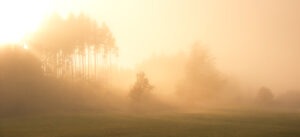 See That Fog? That's My Brain Today. :/